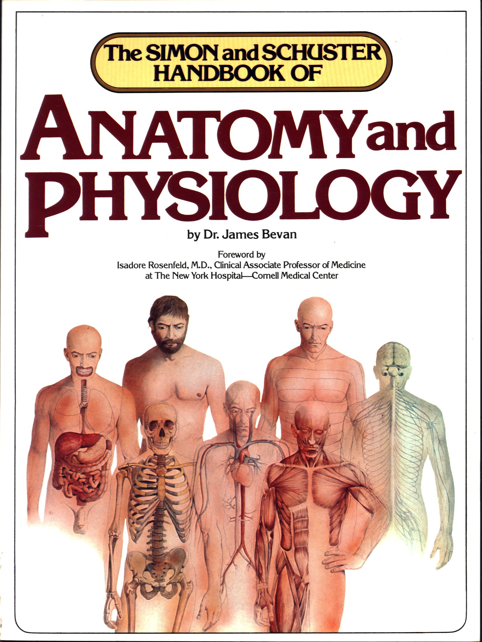 HANDBOOK OF ANATOMY & PHYSIOLOGY (Simon & Schuster's). 